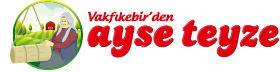 Ayşe Teyze Süt Ürünleri
